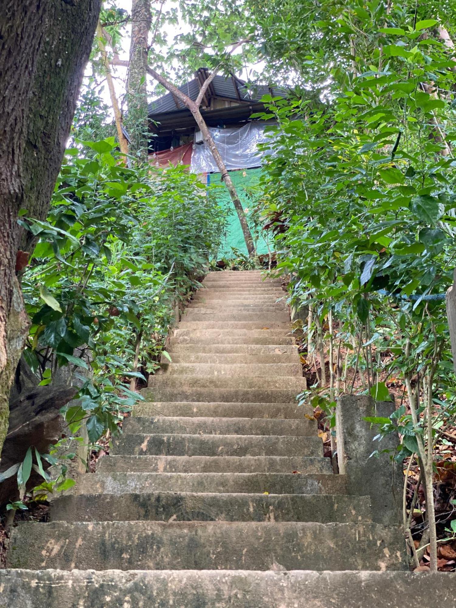 Camp Talusi Hilltop Overlooking El Nido Extérieur photo