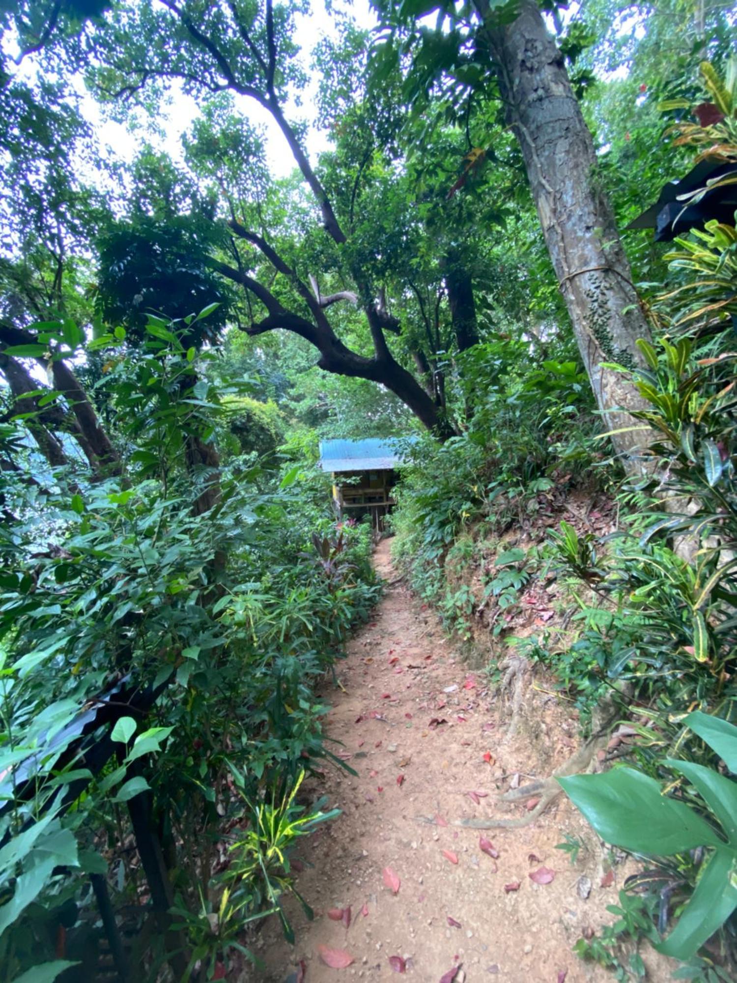 Camp Talusi Hilltop Overlooking El Nido Extérieur photo