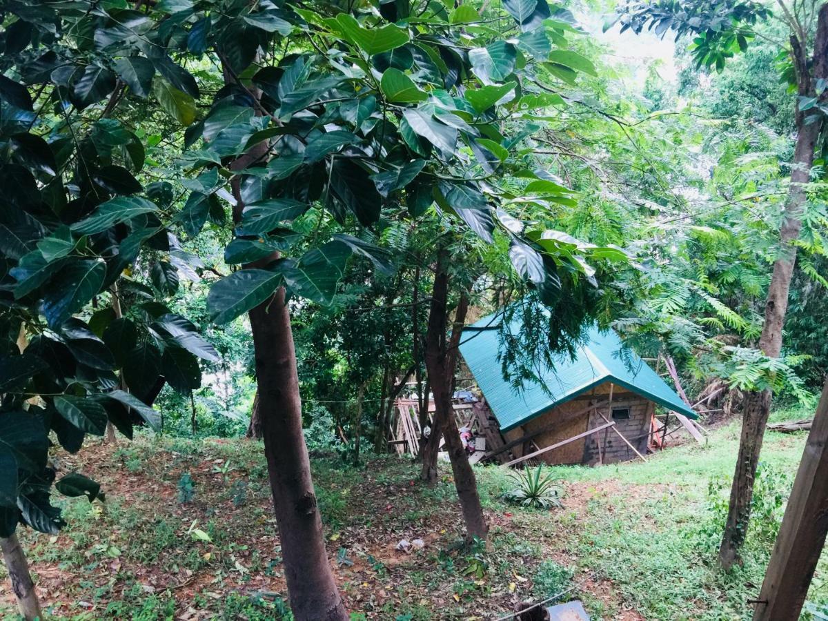 Camp Talusi Hilltop Overlooking El Nido Extérieur photo