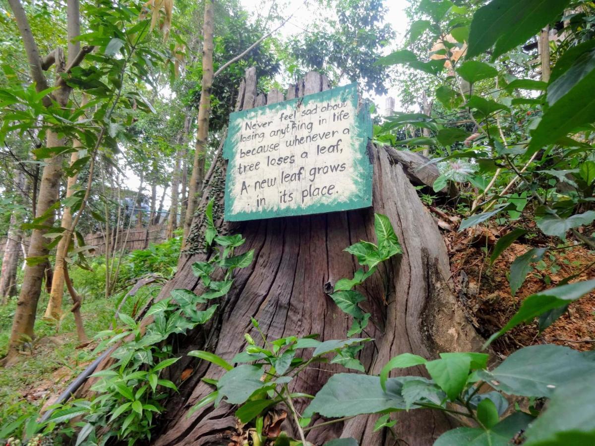 Camp Talusi Hilltop Overlooking El Nido Extérieur photo