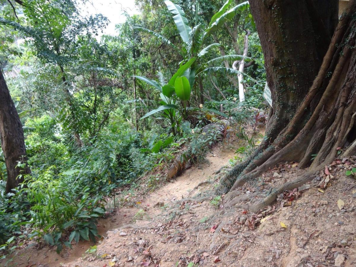 Camp Talusi Hilltop Overlooking El Nido Extérieur photo