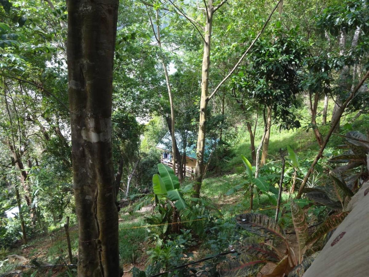 Camp Talusi Hilltop Overlooking El Nido Extérieur photo